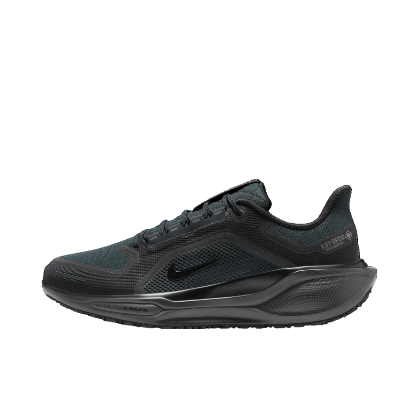 Løbe Nike Pegasus 41 GORE-TEX Sort | fq1356-001