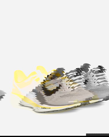 Sneakers og sko Nike Air Zoom Pegasus 41 SP Grøn | HQ6025-001, 2