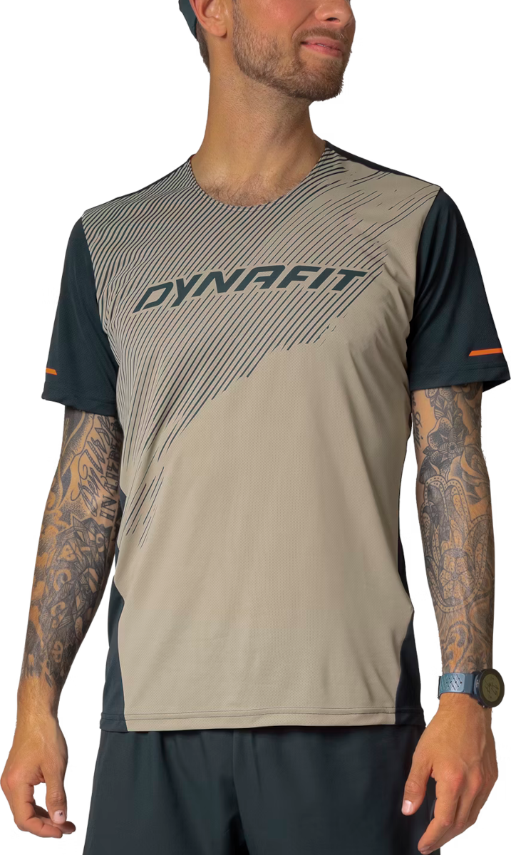 T-shirt Dynafit Alpine 2 Short Sleeve T-Shirt Beige | 08-0000071456-5261