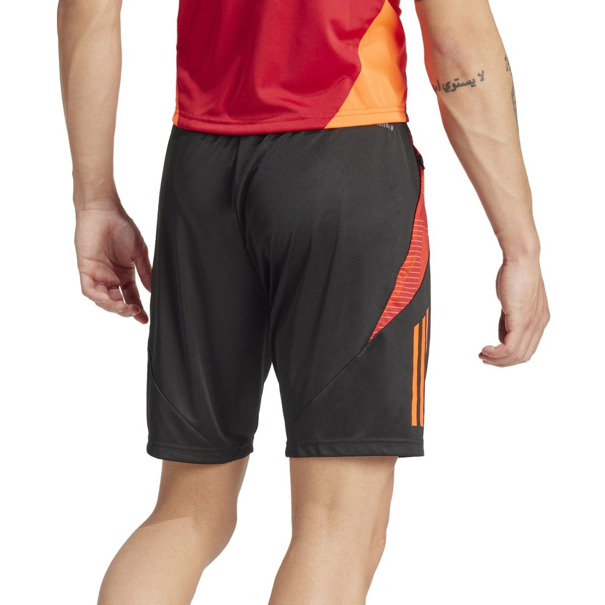 Shorts adidas Performance adidas TIRO24 C TR SHO Sort | ir5484, 1