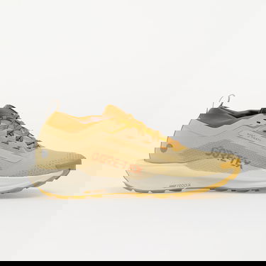 Sneakers og sko Nike React Pegasus Trail 5 GTX SP Beige | HQ7494-700, 2
