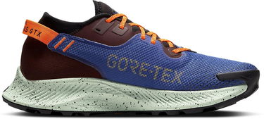 Sneakers og sko Nike Pegasus Trail 2 GTX Blå | cu2016-600, 2