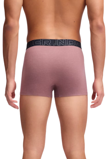 Boksere Under Armour Under Armour SOLID 3" Boxer Shorts, 3-Pack Flerfarvet | 1383891-651, 2