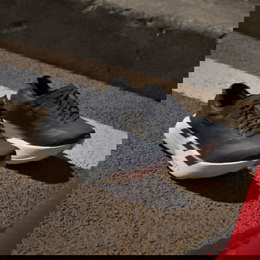 Sneakers og sko adidas Performance ADIZERO ADIOS PRO 4 Sort | jr6360, 7