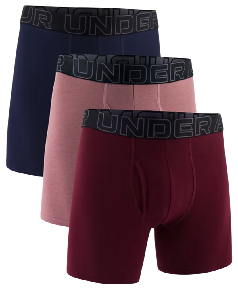 Boksere Under Armour Under Armour SOLID 6in 3 Pack Boxer Shorts Flerfarvet | 1383889-651