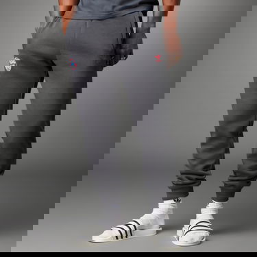 Joggingbukser adidas Performance FC Bayern Essentials Trefoil Pants Grå | IL1033, 0