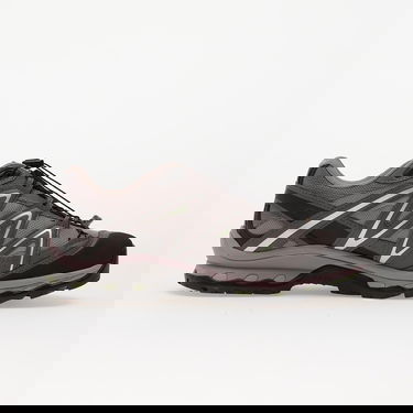 Sneakers og sko Salomon XT-Quest Gore-Tex Grå | L49127700, 2