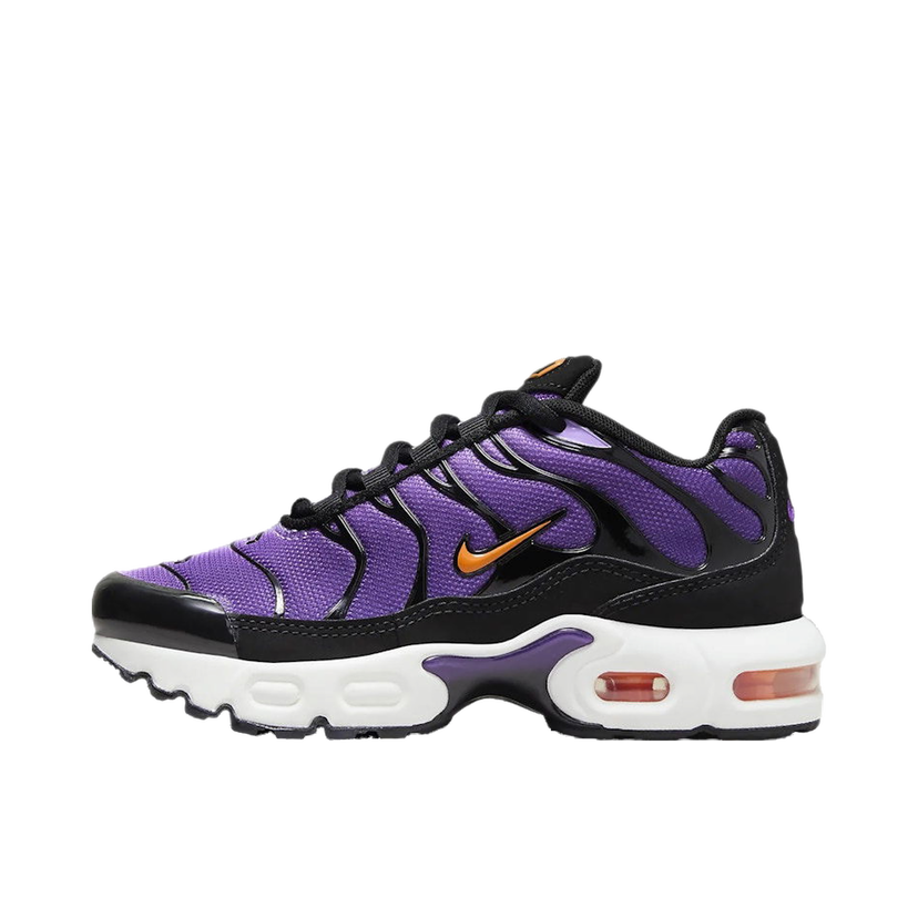 Sneakers og sko Nike Air Max Plus OG Lilla | CD0610-024