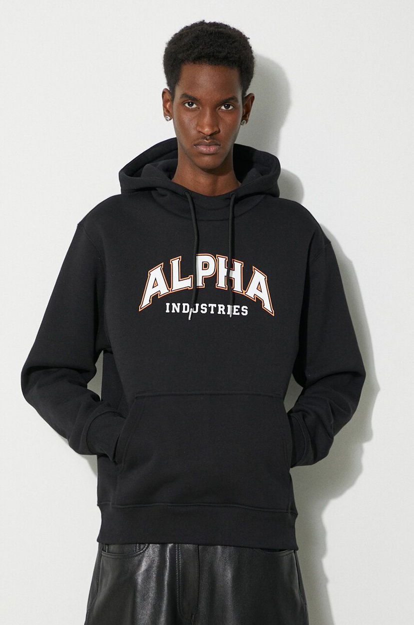 Sweatshirt Alpha Industries Hoodie With Print Sort | 146331