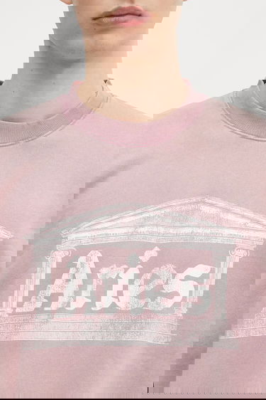 Sweatshirt Aries Aries Aged Ancient Column Graphic Sweatshirt Lyserød | AR2003303, 6