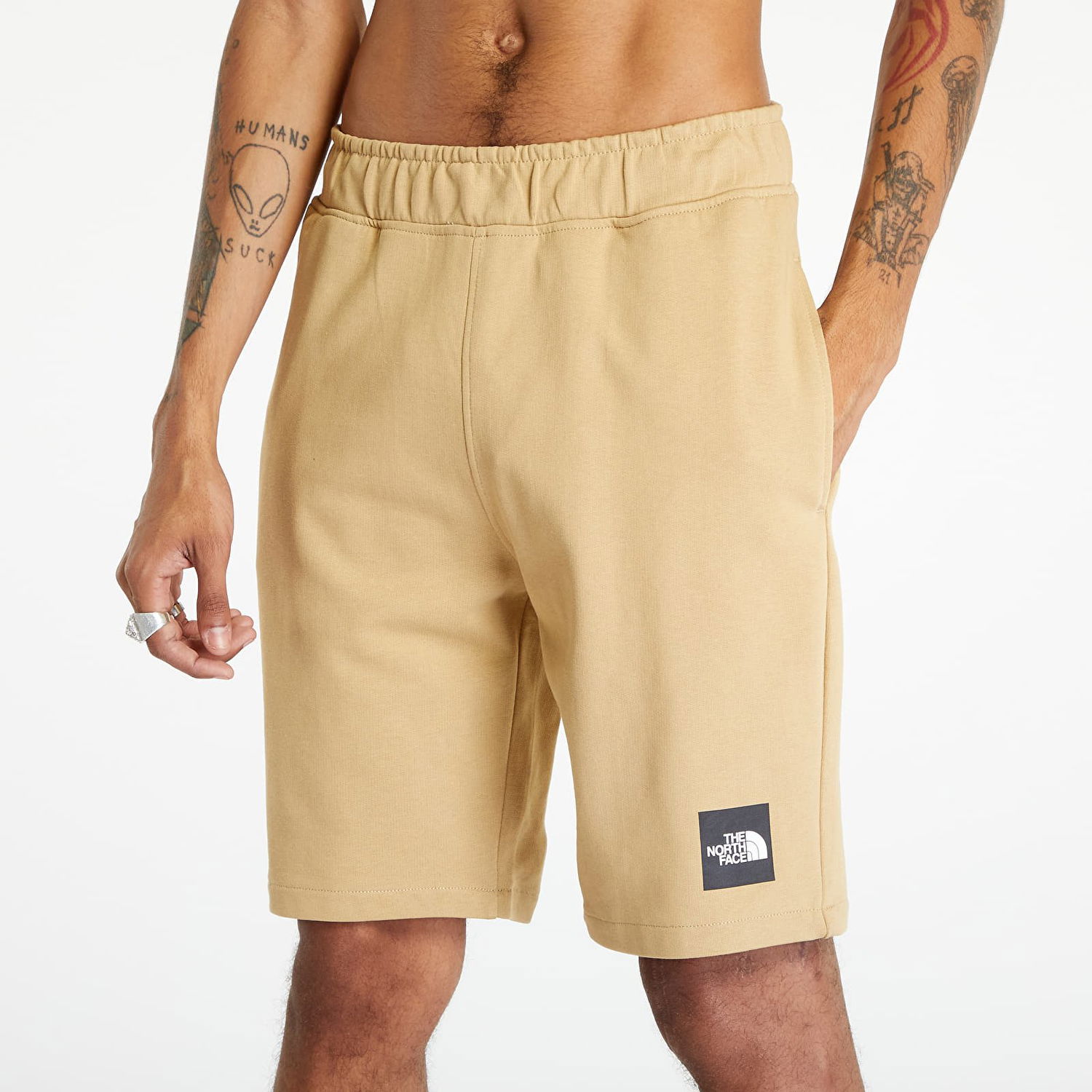 Shorts The North Face Summer Logo Short Beige | NF0A8237LK51, 1