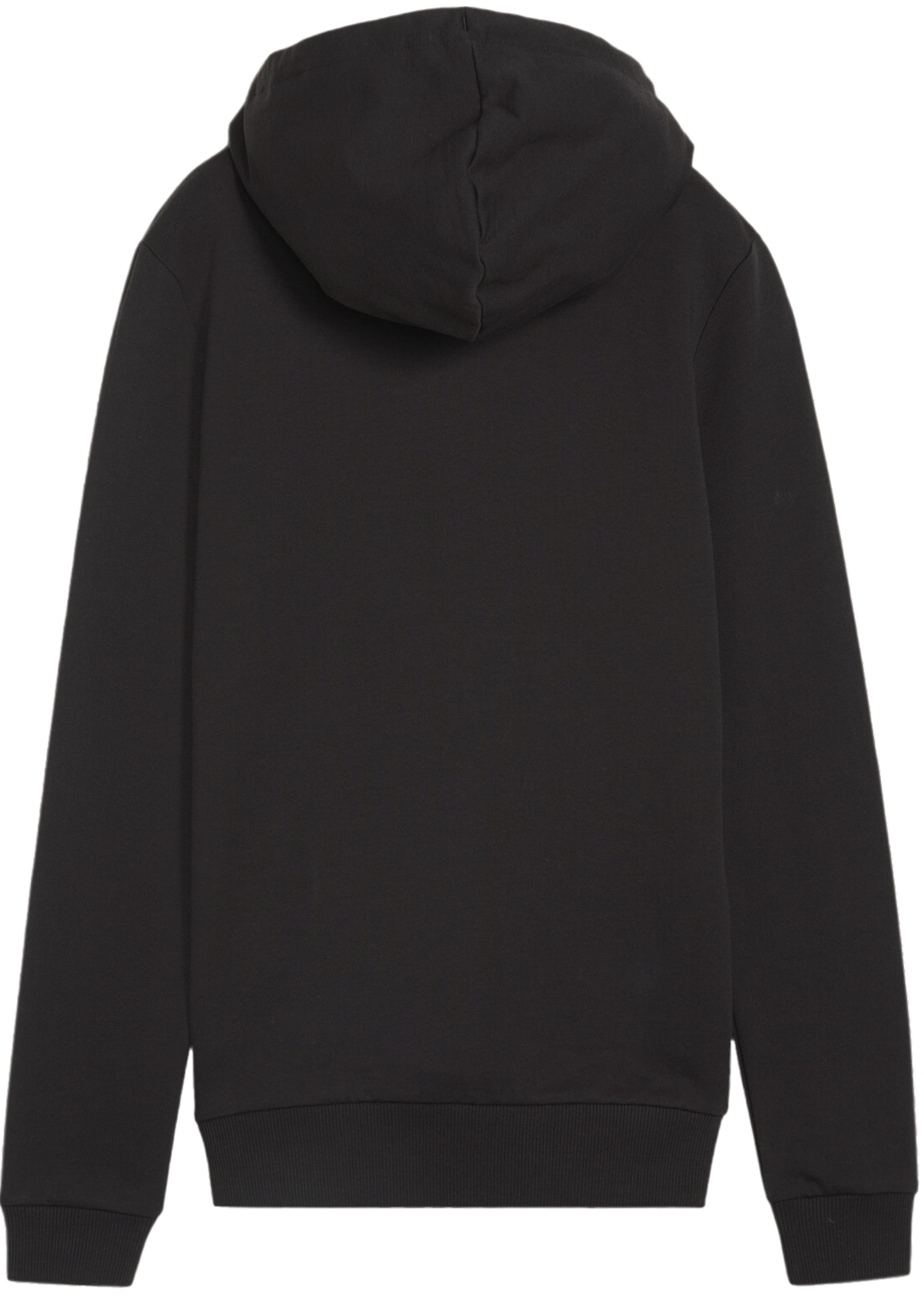 Sweatshirt Puma teamGOAL Casuals Hoody Sort | 658621-03, 1