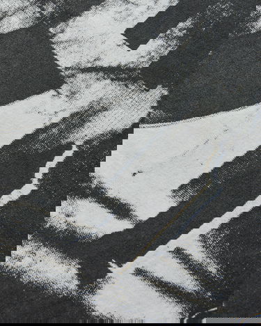 T-shirt Vans Act of Disagreement Hazard Checkered Barbed Wire SIXIR Chaos Times Longsleeve T-Shirt Hvid | VN000RPWWHT1, 4