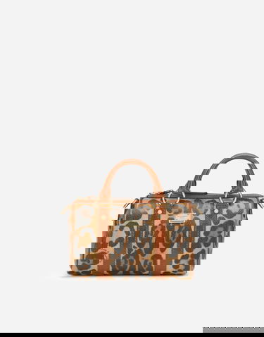 Håndtaske Dolce & Gabbana Small Box Satchel Leopard Print Flerfarvet | BB6930AW384HYNBM, 0