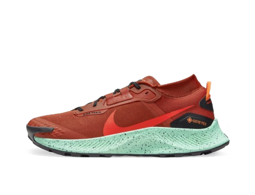 Løbe Nike Pegasus Trail 3 Orange | DC8793-800