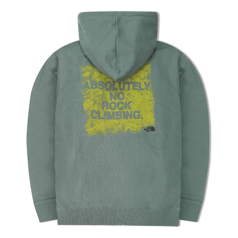 Sweatshirt The North Face Logo Print Hoodie Grøn | NF0A5JUO-117