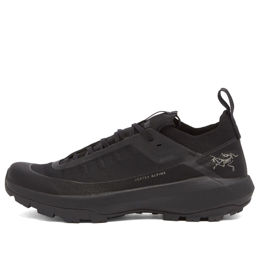 Sneakers og sko Arcteryx Vertex Alpine Gore-Tex Sort | X000009602-021572