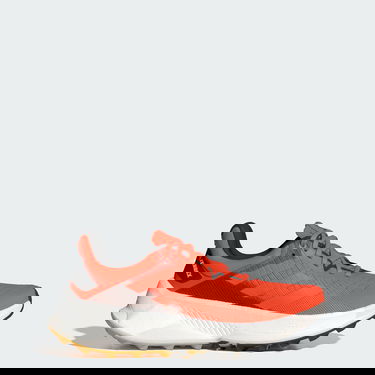 Sneakers og sko adidas Performance adidas TERREX Rød | IE8455, 0