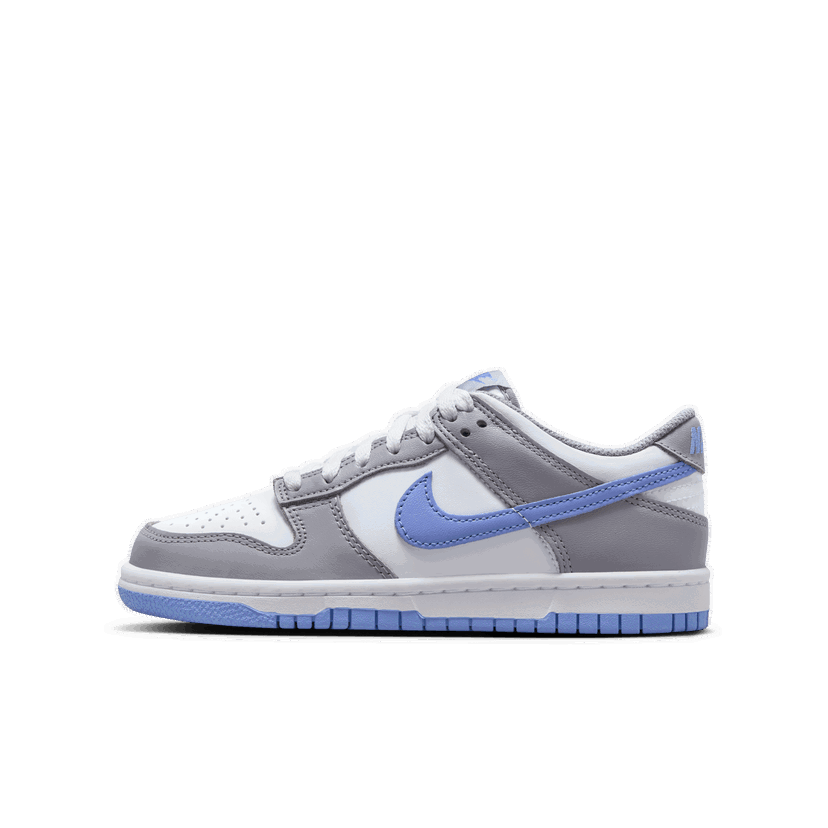 Sneakers og sko Nike Dunk Low Blå | FB9109-121
