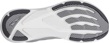 Sneakers og sko Altra Running Altra Experience Flow 2 Grå | al0a85re-2201, 1