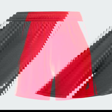 Shorts adidas Performance Tiro 24 Rød | IR9373, 4