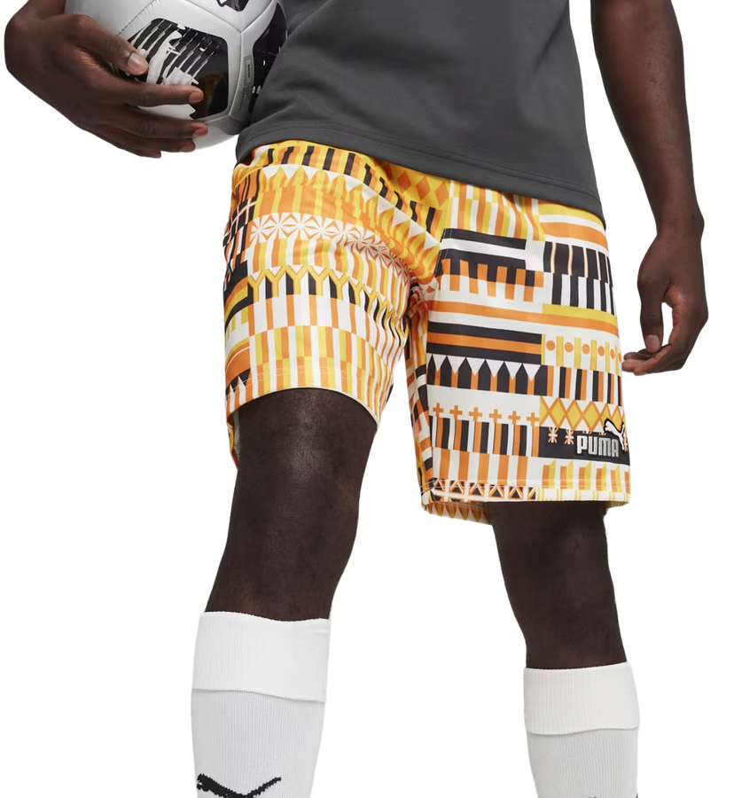 Shorts Puma FanwearCapsule Short Flerfarvet | 658967-17