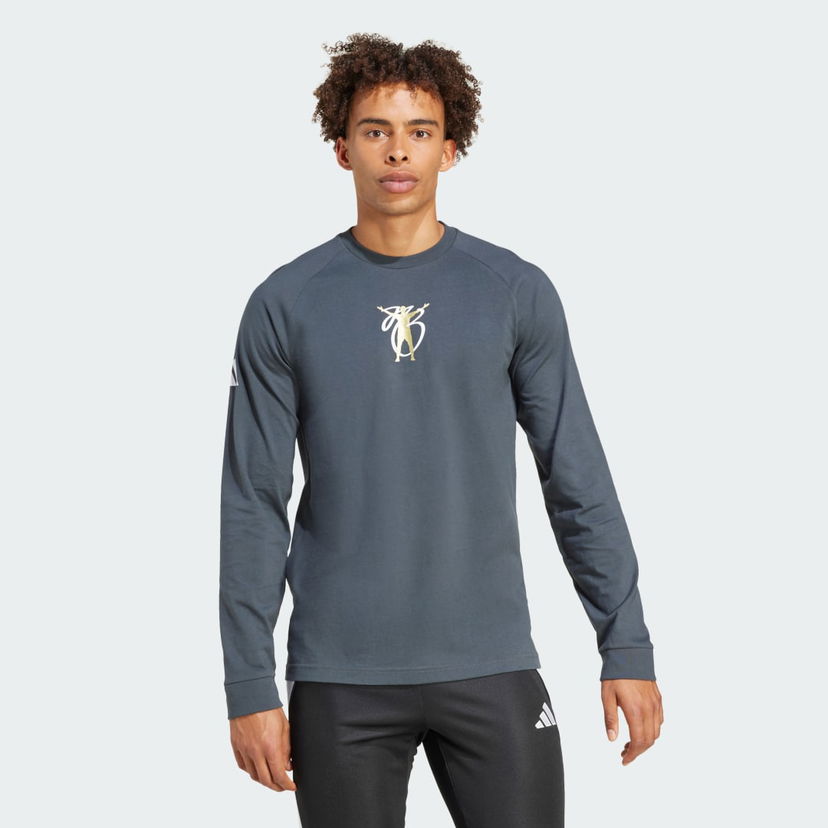 T-shirt adidas Performance Long Sleeve Graphic Tee Grå | JM9351