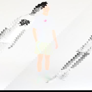 Shorts Nike Nike Project F.R.O.G. Woven Shorts Grøn | HJ6944-371, 3