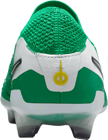 Sneakers og sko Nike LEGEND 10 ELITE FG LV8 Grøn | hj7272-300, 4