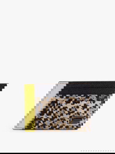 Tegnebog Dolce & Gabbana Dolce & Gabbana Leopard Print Card Holder Flerfarvet | BP3325A6N738Z857, 0