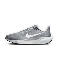 Pegasus 41
