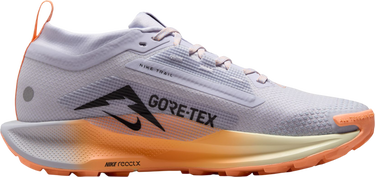 Sneakers og sko Nike Pegasus Trail 5 GORE-TEX Flerfarvet | fq0912-011, 3
