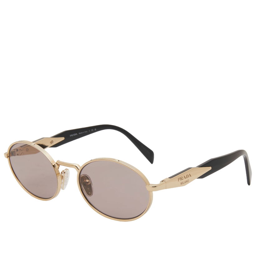 Solbriller Prada Round Sunglasses Brun | 0PR-65ZS-ZVN20I55