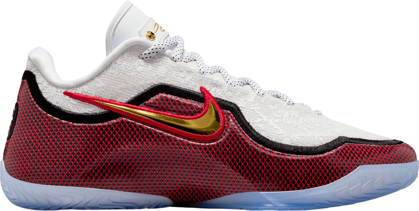 Sneakers og sko Nike LeBron XXIII Flerfarvet | hj5629-100