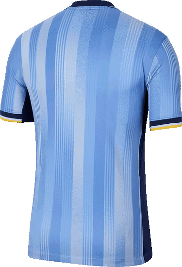 Jersey Nike THFC M NK DF JSY SS STAD AW 2024/25 Turkis | fn8788-480, 1