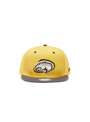 Kasket Puma x Hometown Heroes Basketball FB Cap Spectra Gul | 02369402