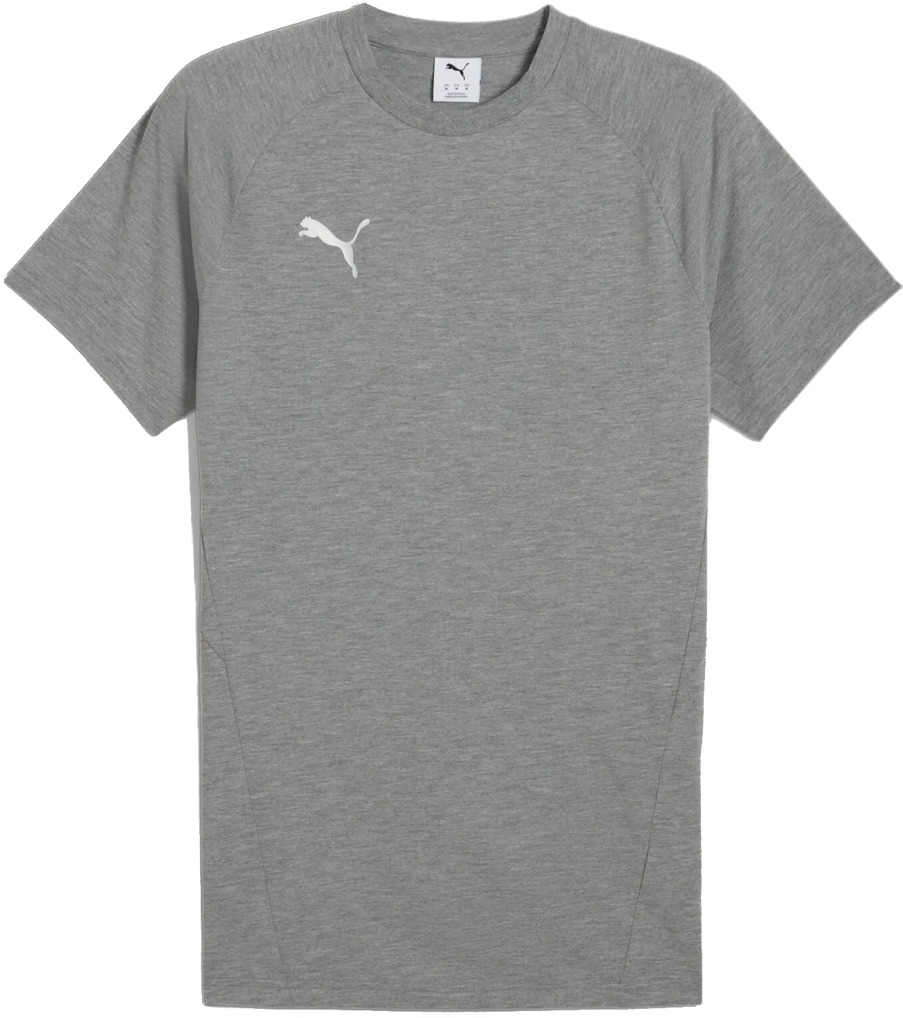 T-shirt Puma Puma teamEVOSTRIPE T-Shirt Grå | 659953-33, 0