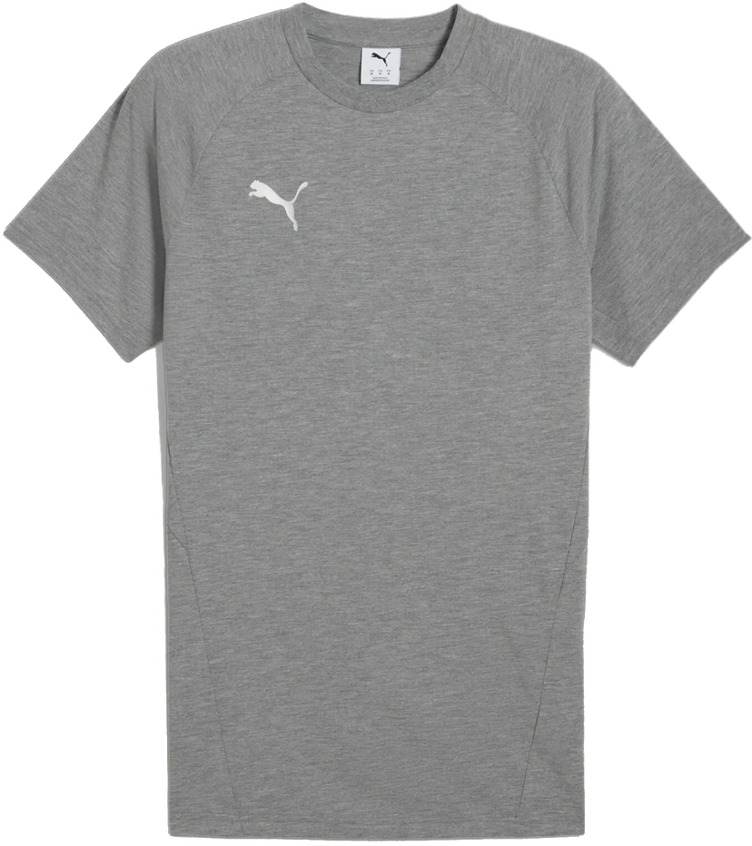 T-shirt Puma Puma teamEVOSTRIPE T-Shirt Grå | 659953-33