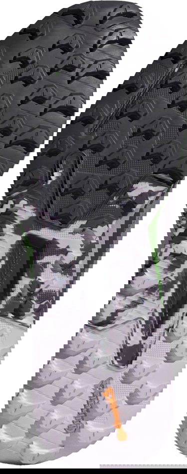 Sneakers og sko adidas Performance adidas Terrex TERREX AGRAVIC FLOW 2 W Sort | id2504, 1