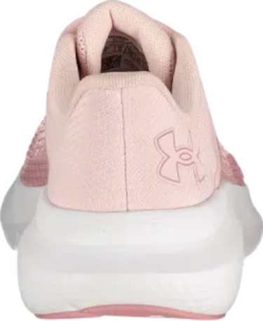 Sneakers og sko Under Armour Charged Rogue 5 Lyserød | 3028262-647, 2