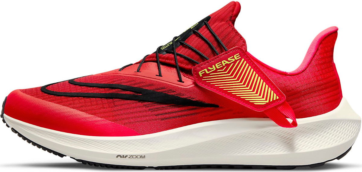 Sneakers og sko Nike Air Zoom Pegasus 39 FlyEase Rød | dj7381-600, 0