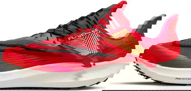 Sneakers og sko Nike Air Zoom Pegasus 39 FlyEase Rød | dj7381-600, 0