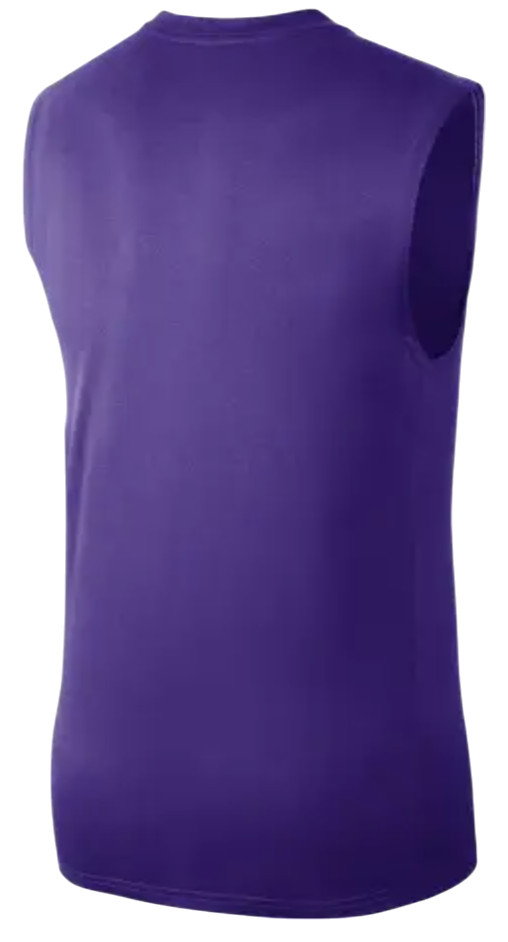 T-shirt Nike NBA LOS ANGELES LAKERS ESSENTIAL SLEEVELESS T-SHIRT Lilla | FQ1978-504, 1