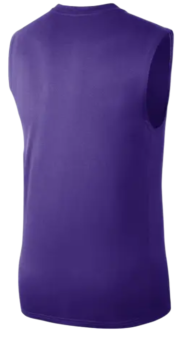 T-shirt Nike NBA LOS ANGELES LAKERS ESSENTIAL SLEEVELESS T-SHIRT Lilla | FQ1978-504, 1
