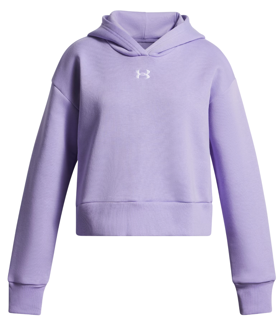 Sweatshirt Under Armour Rival Fleece Hoodie Lilla | 1379517-538, 0
