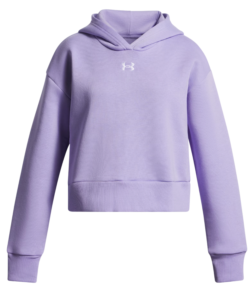 Sweatshirt Under Armour Rival Fleece Hoodie Lilla | 1379517-538