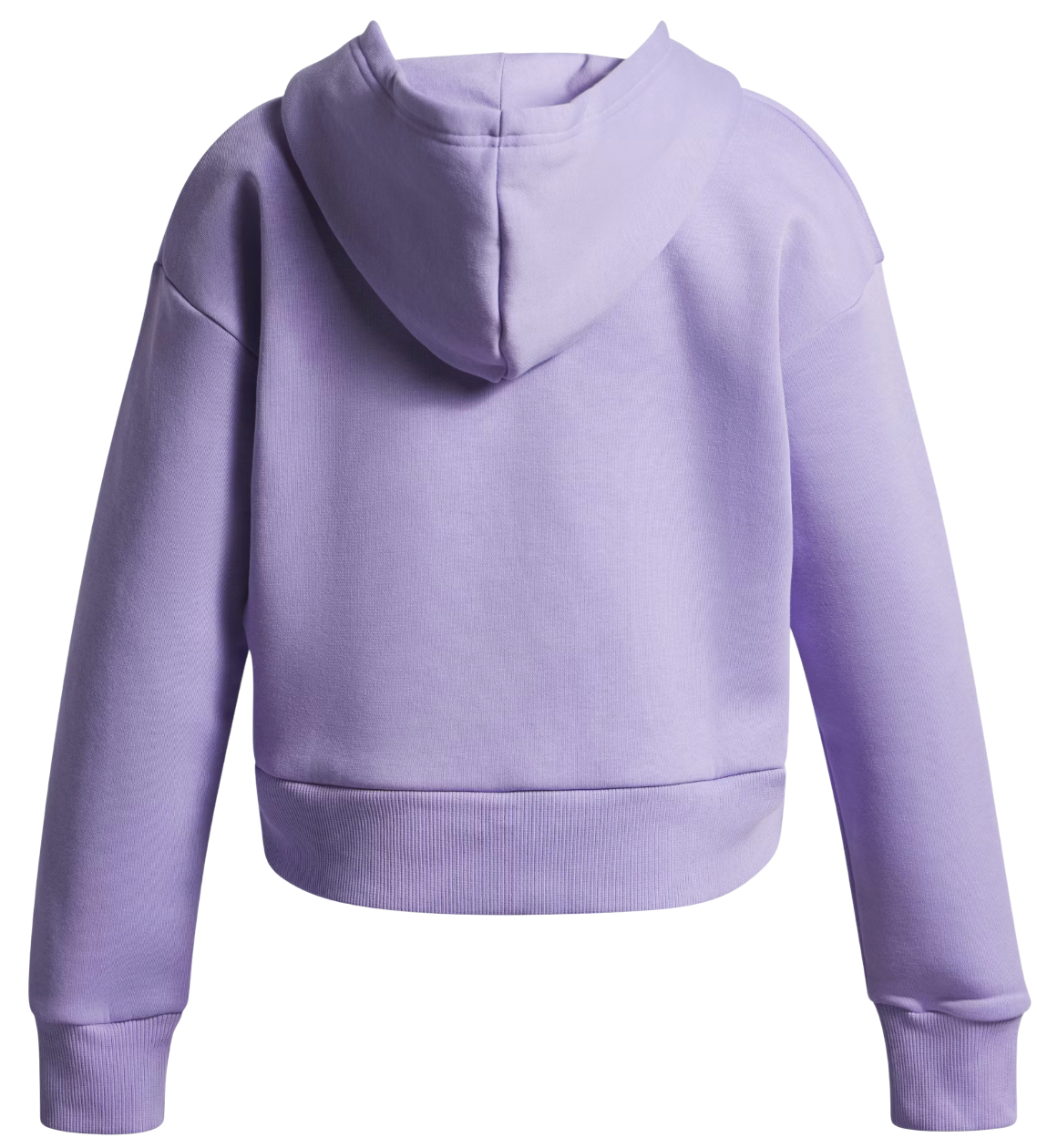 Sweatshirt Under Armour Rival Fleece Hoodie Lilla | 1379517-538, 1