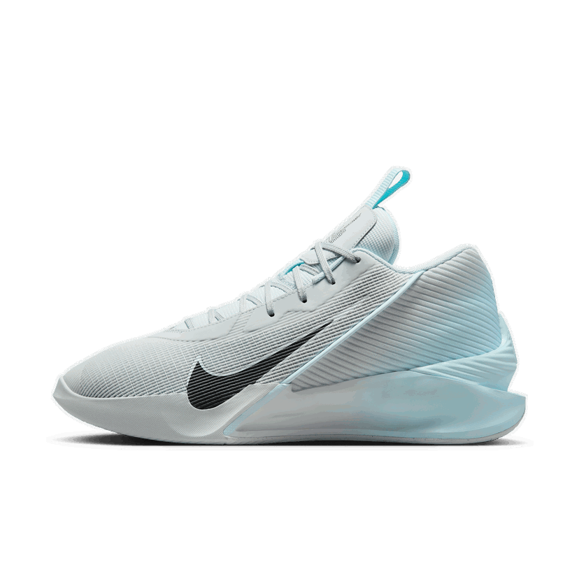 Sneakers og sko Nike G.T. Jump Academy Grå | FV5524-002