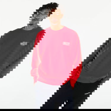 Sweatshirt Awake NY Awake Crewneck Red Rød | AWK-SP24-CN002-RED, 0