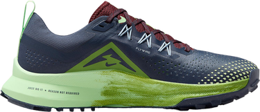 Sneakers og sko Nike Pegasus Trail 4 Flerfarvet | dj6159-403, 2